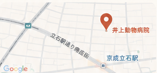 井上動物病院の地図（葛飾区東立石2-5-14）