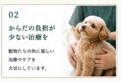 方針2：からだの負担が少ない治療を。動物たちの体に優しい治療やケアを大切にしています。